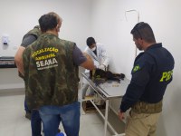 PRF socorre macaco prego atropelado no sudoeste da Bahia