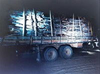 PRF apreende caminhão transportando carga ilegal de madeira nativa