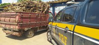 Em Feira de Santana (BA), PRF realiza apreensão de madeira transportada ilegalmente
