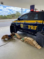 PRF prende dupla transportando quase 58 kg de maconha em Vitória da Conquista (BA)