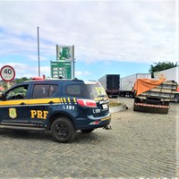 PRF apreende caminhão transportando carga de madeira sem documentação válida
