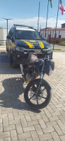 Em Correntina (BA), PRF recupera moto furtada em Goiânia (GO)