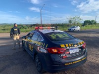 Em Ipiaú (BA), PRF recupera veículo com registro de roubo