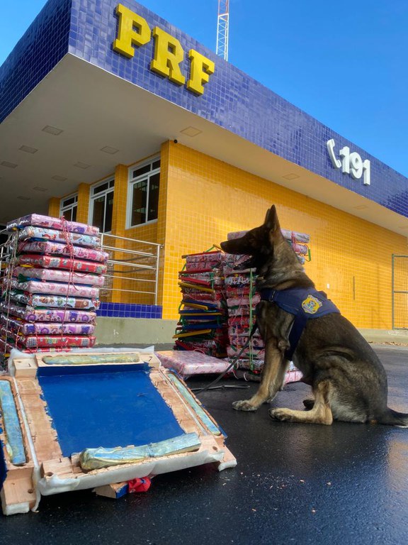 A que se destacar também o trabalho especializado com cães farejadores que tem rendido excelentes resultados. Para a PRF, além de ser o melhor amigo do homem, os cães são ferramentas fundamentais no enfrentamento do narcotráfico e tráfico de armas.