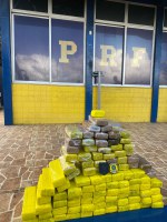 PRF apreende 49 kg de maconha na BR 101, município de Alagoinhas/BA