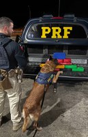 PRF realiza apreensão de mais de 15 Kg de cocaína em Feira de Santana (BA) durante a Operação Cão de Faro VI