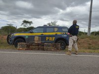 Na Semana Nacional do Meio Ambiente, PRF flagra crime ambiental e resgata animais silvestres em Paulo Afonso