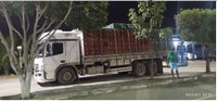 PRF flagra caminhão de hortifruti sem nota fiscal na BR 242