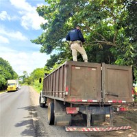 Em Jequié (BA), PRF apreende carga de madeira transportada ilegalmente