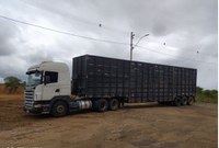 Mais um caminhão boiadeiro vindo do Tocantins é apreendido pela PRF na Chapada Diamantina
