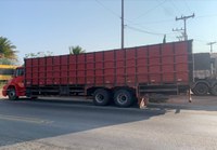 PRF flagra caminhão fazendo transporte irregular de gado em Seabra (BA)