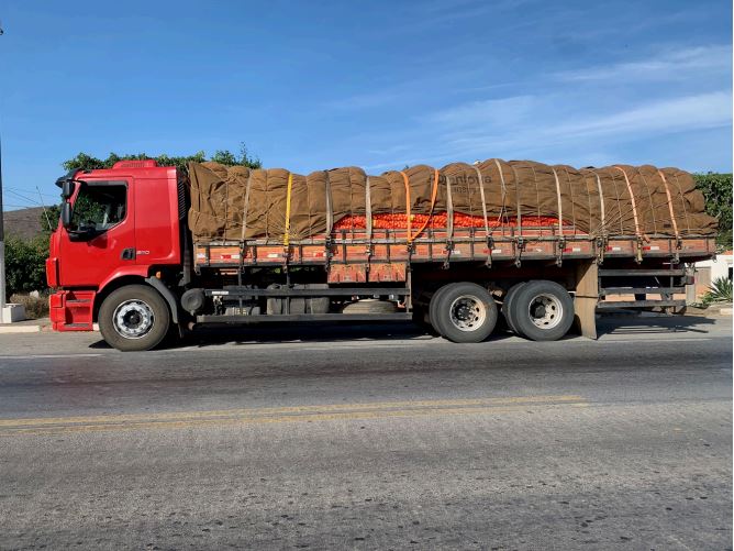 Abrea denuncia: Sama afronta de novo o STF, tenta exportar 340 toneladas de  amianto; 10 carretas chegam ao porto de Santos, em SP, nesta tarde -  Viomundo