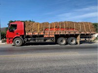 PRF flagra caminhão transportando 15 toneladas de cebola sem nota fiscal