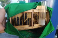 PRF resgata aves silvestres transportadas em condições precárias em Vitória da Conquista (BA)