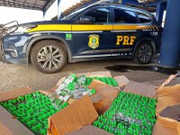 PRF apreende 600 frascos de lança-perfume com adolescente na BR-116 em Feira de Santana (BA)