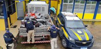 PRF na Bahia apreende mais de 2 toneladas de maconha e recupera veículo roubado