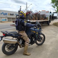 Operação Cavalo de Aço realizada em Eunápolis (BA) retirou de circulação 66 veículos irregulares