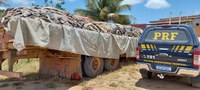 PRF apreende 18.000 kg de couro bovino, em Seabra (BA)