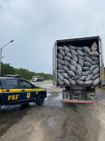 PRF na Bahia flagra condutor transportando carvão vegetal sem licença ambiental válida