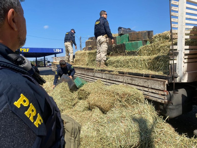 PRF na Bahia registra aumento de 22% nas apreensões de maconha em 2021