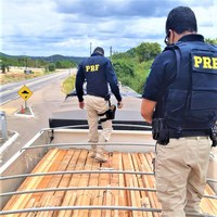 Crime ambiental: Em Senhor do Bonfim (BA), PRF realiza apreensão de carga de madeira nativa transportada ilegalmente