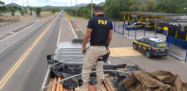 Em menos de 24 horas, mais um carregamento irregular de madeira é apreendido na Bahia