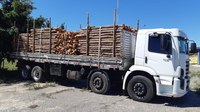 Estacas de madeira transportadas ilegalmente são apreendidas na BR-324 em Capim Grosso (BA)