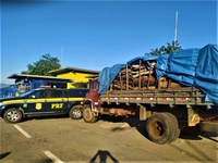 PRF apreende 16 m³ de madeira nativa transportada ilegalmente