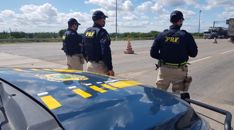 PRF apreende caminhão que transportava carga viva irregularmente