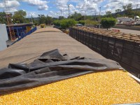 Após esconder nota fiscal, PRF descobre que motorista transportava quase 25 toneladas de excesso de peso em carreta carregada com milho