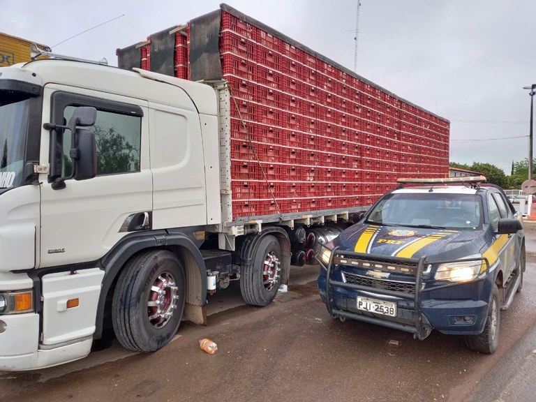 PRF apreende caminhão que transportava carga viva irregularmente