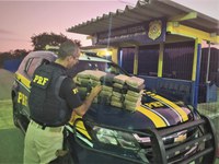 Prejuízo ao narcotráfico: PRF apreende cloridrato de cocaína escondido dentro de caminhonete na BR 407