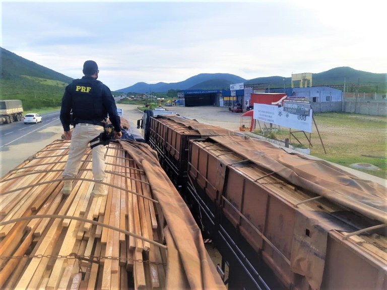 PRF apreende quase 100 toneladas de madeira transportados ilegalmente pela BR-116 em Jequié (BA)