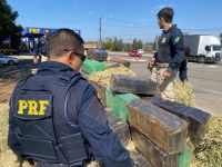 PRF apreende quase 3 toneladas de maconha em meio a carga de feno e dá prejuízo de mais de 5 milhões de reais na fonte de receita do crime organizado