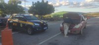 Veículo clonado é recuperado em Jaguaribe (CE)