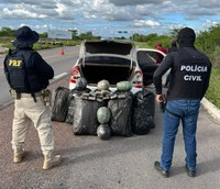 PRF e Polícia Civil prendem duas pessoas que transportavam 102 kg de maconha em um carro roubado, em Penaforte/CE.