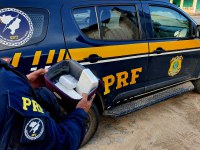 PRF apreende 2,5 quilos de cocaína dentro de ônibus no Ceará