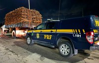 PRF apreende carga de madeira ilegal em São Gonçalo do Amarante (CE)