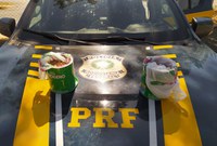 PRF apreende pasta base de cocaína em ônibus na BR 060