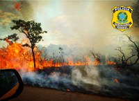 PRF prende suspeito de atear fogo em estação ecológica no DF