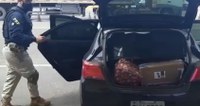 PRF faz apreensão de 312 kg de maconha no Recanto das Emas (DF)
