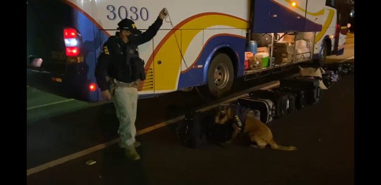 PRF prende em Planaltina/DF um homem transportando maconha gourmet