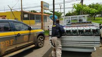 PRF recupera na BR040 bebidas alcoólicas furtadas de uma distribuidora de bebidas do DF