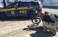 PRF recupera moto roubada na BR 101