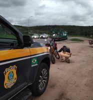 PRF recupera motocicleta furtada durante fiscalização em Serra (ES)