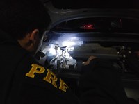PRF recupera veículo roubado na BR 101