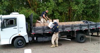 PRF apreende, em Porangatu, carga com 3,5 toneladas de agrotóxicos roubados
