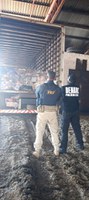 PRF, Polícia Civil e Polícia Militar participam da incineração de oito toneladas de drogas em Goiás
