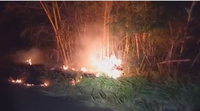 Trabalhador rural é preso após ser flagrado ateando fogo às margens de rodovia
