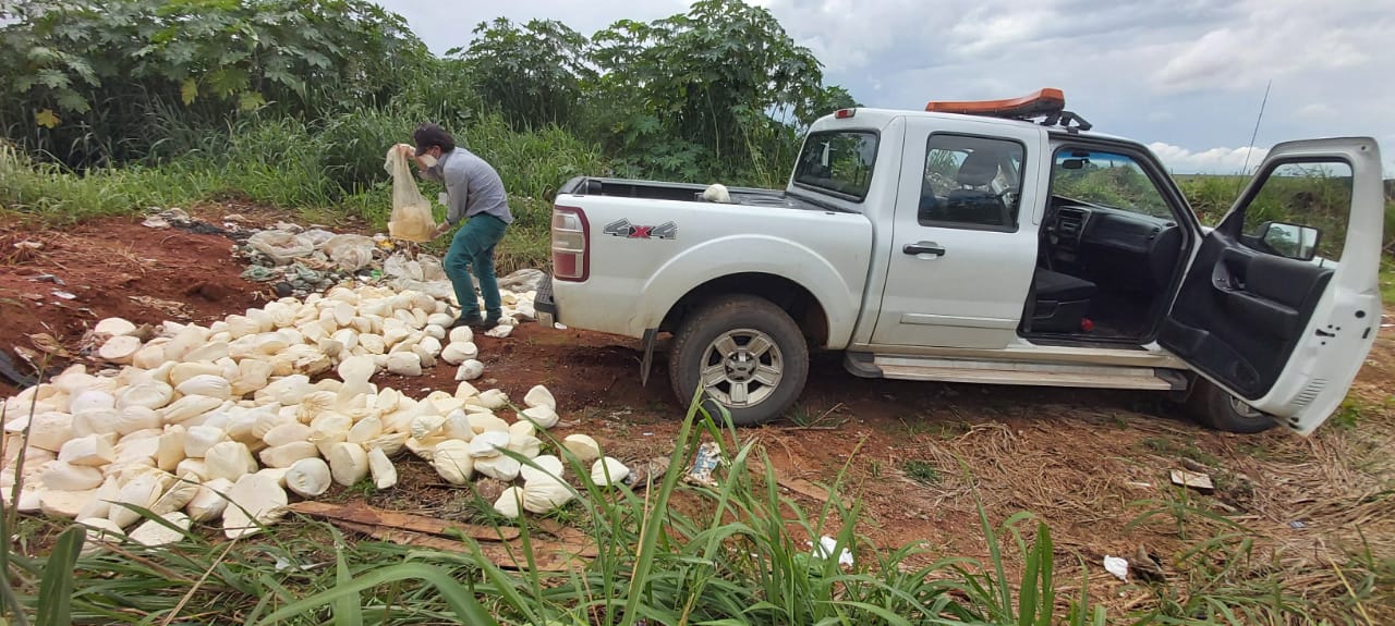 PRF e Agrodefesa apreendem mais de meia tonelada de queijo estragado na BR 060, em Abadia de Goiás